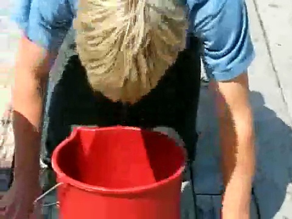 The Goldfish Trick