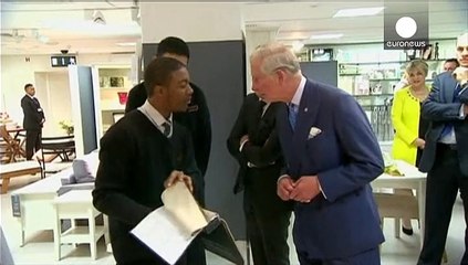 UK: Prince Charles' 'spider memos' to ministers made public