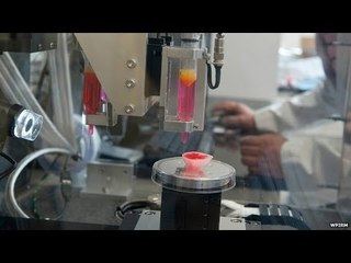 3D printed organs being used to test vaccines