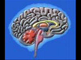 TRİGEMİNAL NEVRALJİ danışma 0535 5373503,trigeminal nevralji ,trigeminal nevralji belirtileri,trigeminal nevralji nedenl