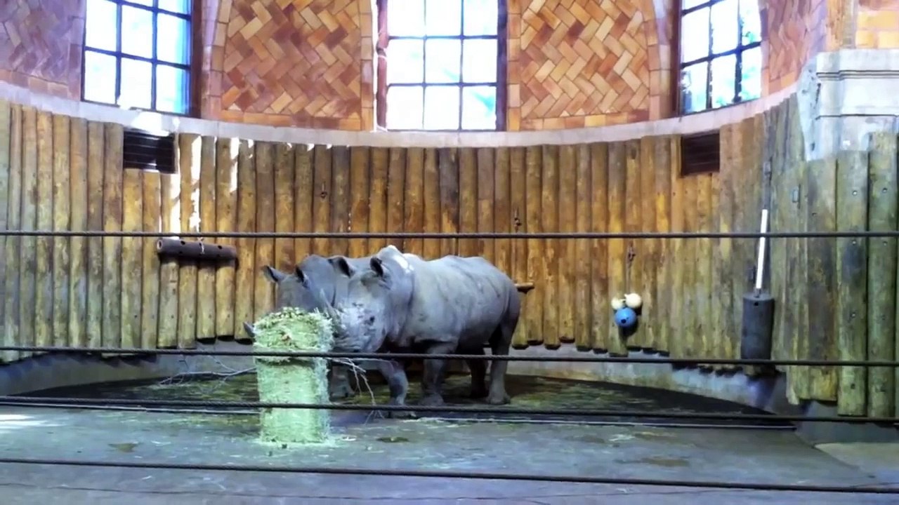 WILD Classroom:  Herbivores, Omnivores, and Carnivores