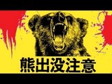 住宅地でクマ３人襲う　福島