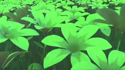 Sinema - Tinker Bell ve Canavar Efsanesi