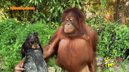 WOW! - S02: Επεισόδιο #89