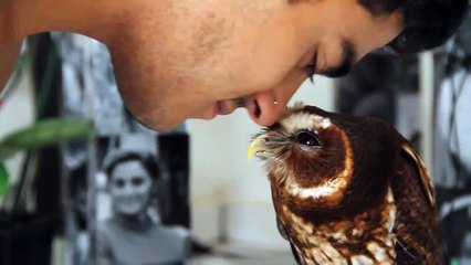 Cute owl gives eskimo kiss