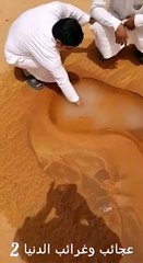 -سبــــــــــــــــــــحان الله qudrat ka karishma(subhanallah)