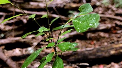 The Good and The Bad People Falling