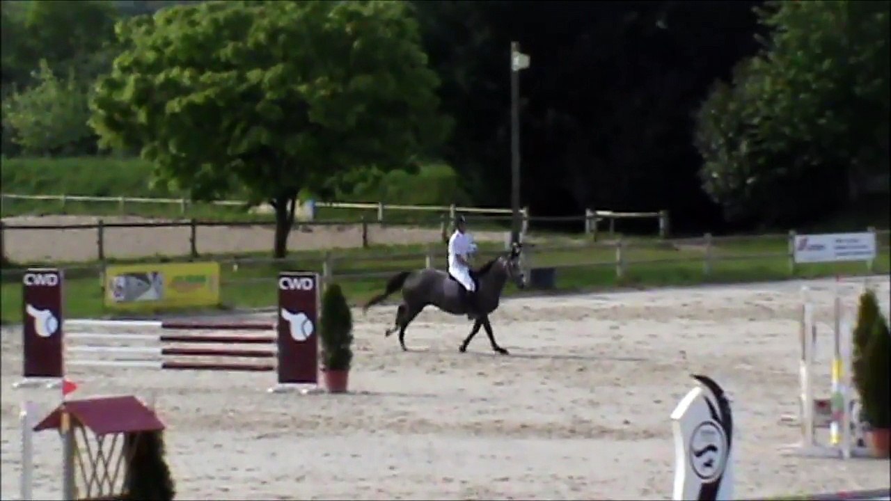 Butterfly CSO Sandillon mai 2015