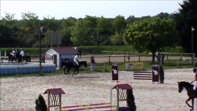 Bronx CSO Sandillon mai 2015