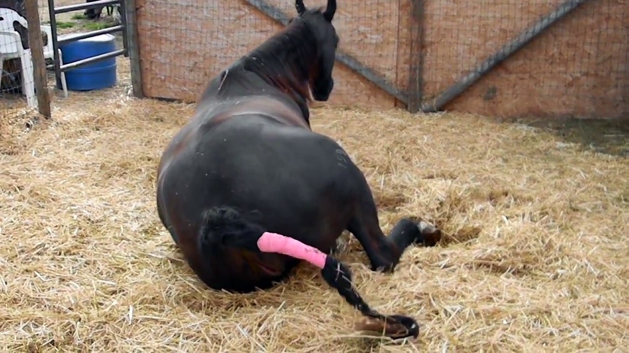 Brazil giving Birth to Angel~