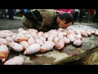 Testicle festival: People eat balls in Serbia