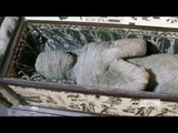 German boy finds mummy in grandfather's attic