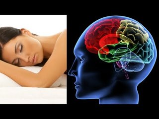 Beauty Sleep: Sleep boosts brain cells, study finds