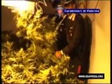 Palermo - Stalle abusive in centro e droga un arresto (19.04.12)