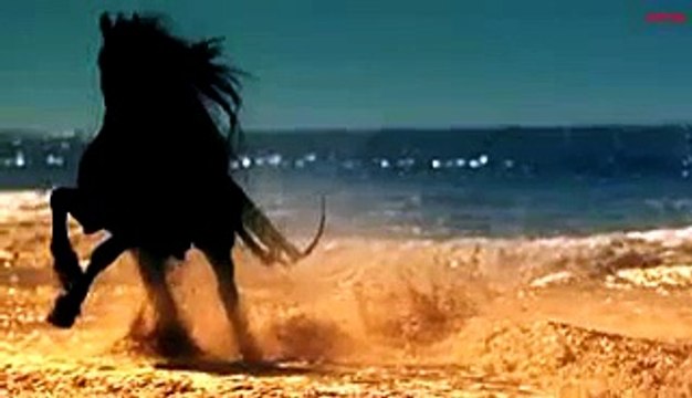 история любви