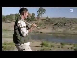 Nigel meets Sarcosuchus, a gigant 15 m Crocodile!