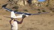 New solar Puma drone can stay airborne for nine hours