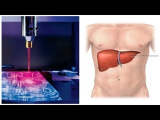3D-printer: Organovo to manufacture liver tissues