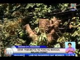 TV Patrol North Central Luzon - February 2, 2015