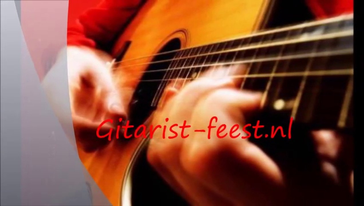 Gitarist-feest.nl