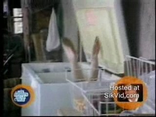 Lavage Du Congélateur