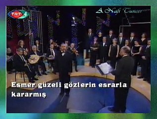 Mustafa Doğan DİKMEN *Bir Gizli Günâhın İzi Gül Benzini Sarmış*