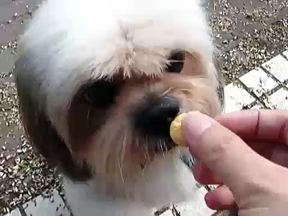 Ball 3