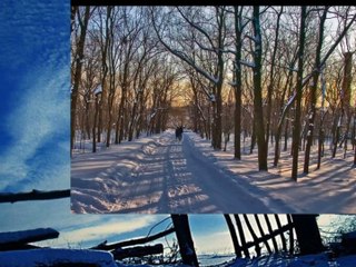 M. Shufutinsky - Kalina krasnaya