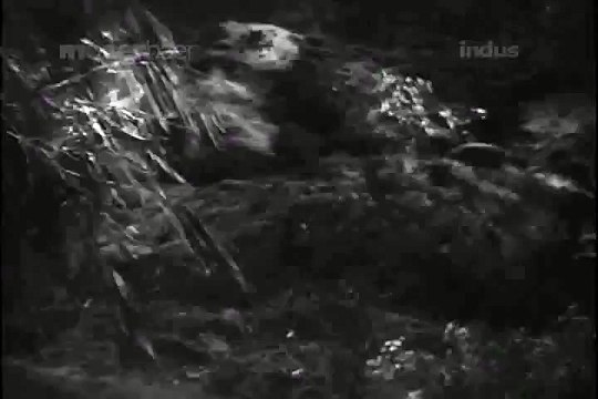 PAYAL (1957) - Chale Chale Re Sajan Dheere Dheere | Balam Dheere Dheere | Safar Hai Pyar Ka