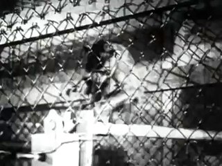 Pavlov Experiments In Conditioning