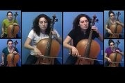 Double Concerto for Two Cellos, Antonio Vivaldi