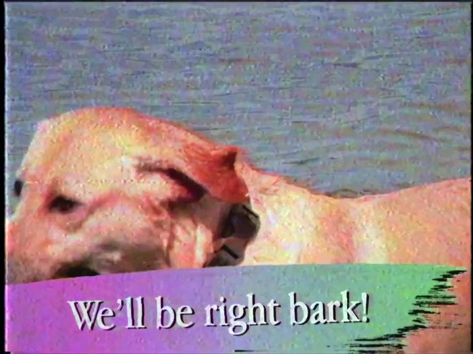 Instant Summer Vision - VHS INFOMERCIAL