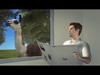 ラマが住宅街で脱走　アメリカ