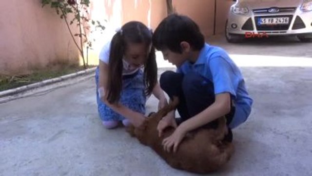 Türkiye Onu Babasının Mezarına Bıraktığı Mektupla Tanıdı