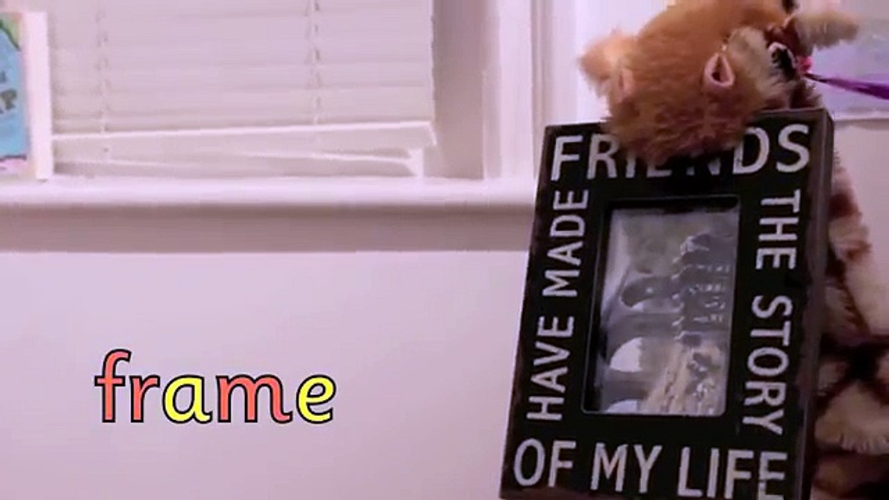 Geraldine the Giraffe learns /a-e/