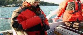 Eagle Wing Whale Watching Adventure Tours / Victoria / Vancouver Island / BC
