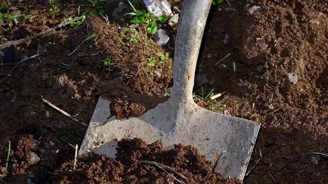 10 Muertes terroríficas de magos