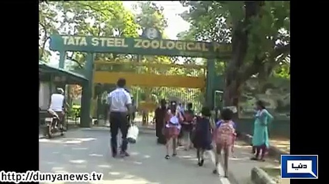Dunya News - India Zoo Keeps Animals Cool in Heatwave