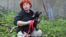 יום באגודת צער בעלי חיים בישראל