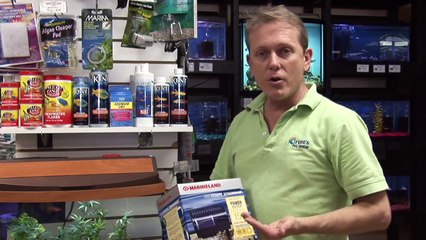 Pet Fish : How to Start a Freshwater Aquarium the Right Way