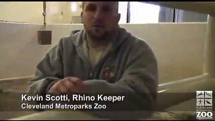 Rhino Update 11/23/2007: Update & outdoor romp