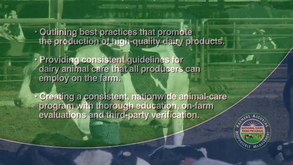 How to Score Hock and Knee Lesions on a Dairy Cow (2013)