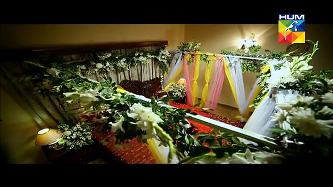 Aye Zindagi Episode 10 Full High Quality HUM TV Drama 14 May 2015