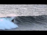 Skuff TV Action Sports and Carnage - South Of God