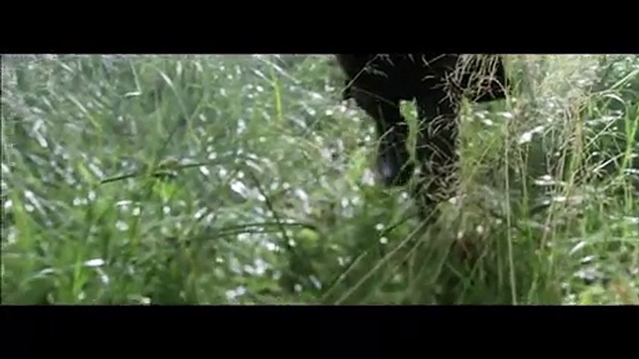 La légende du Roi Arthur - Mon combat (Tir Nam Beo) (Clip officiel)