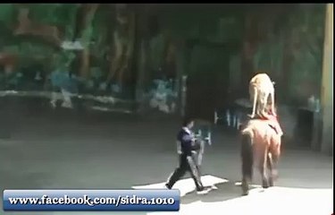 (5) ‫ایسا پہلے کبھی دیکھا ہے‬
