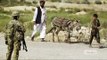 Afghan donkey bomber kills three US soldiers