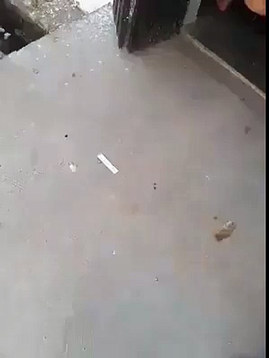(5) ‫پیکٹ کھولنے کا طریقہ دیکهو - ‬