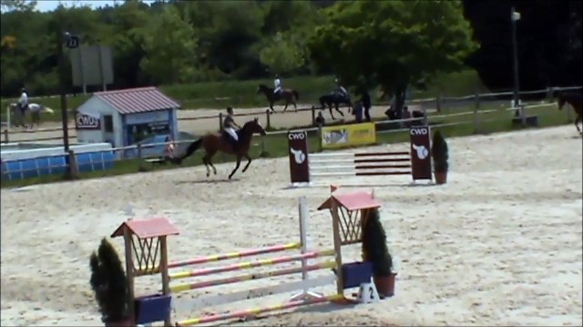 Feria CSO Sandillon mai 2015 bis