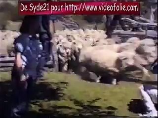 provato?syndication=228326
